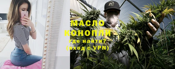 крисы Сатка