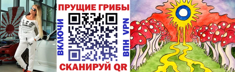 наркота  Кувшиново  Галлюциногенные грибы Magic Shrooms 
